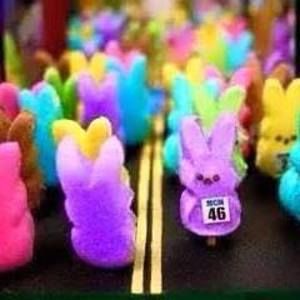 Meet your Posher, Tracy